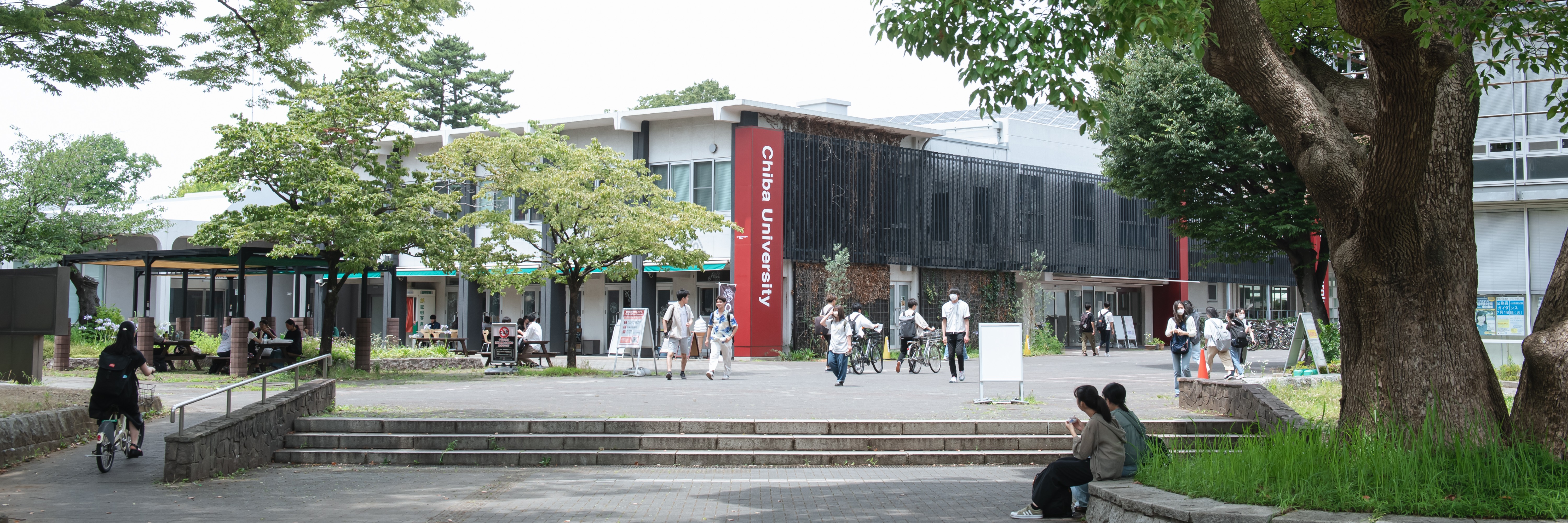 千葉大学構内2トリミング